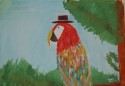 Parrot
